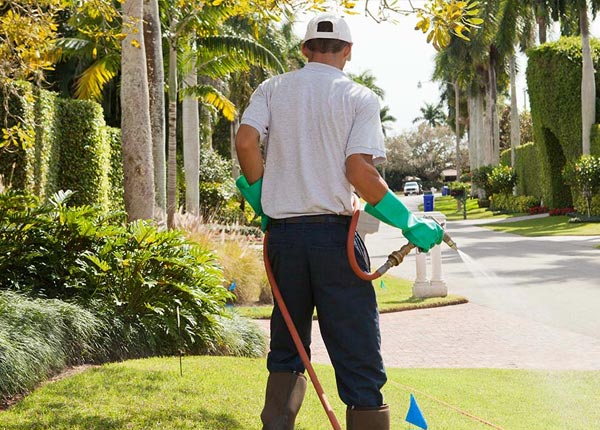 About Moxee WA Pest Control